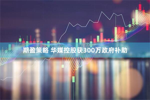期盈策略 华媒控股获300万政府补助
