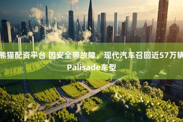 熊猫配资平台 因安全带故障，现代汽车召回近57万辆Palisade车型