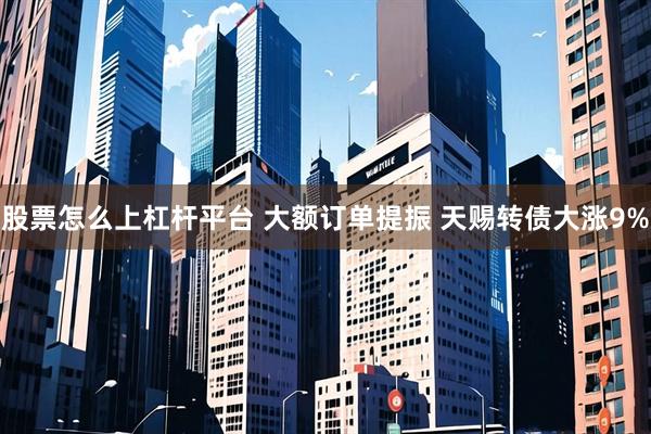 股票怎么上杠杆平台 大额订单提振 天赐转债大涨9%