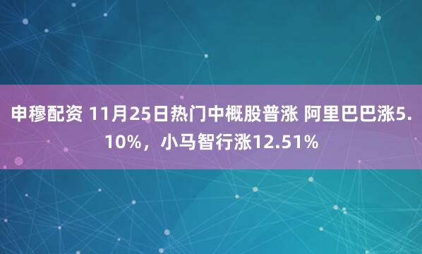 申穆配资 11月25日热门中概股普涨 阿里巴巴涨5.10%，小马智行涨12.51%